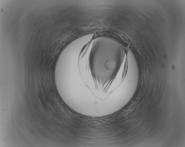 X0000079281300200612151627