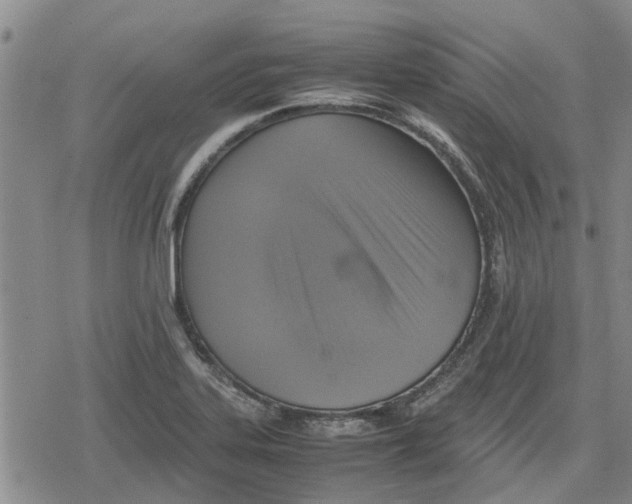 X0000079281323200612151627