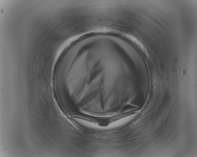 X0000079281327200612151627