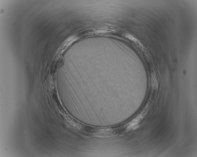 X0000079281353200612151626