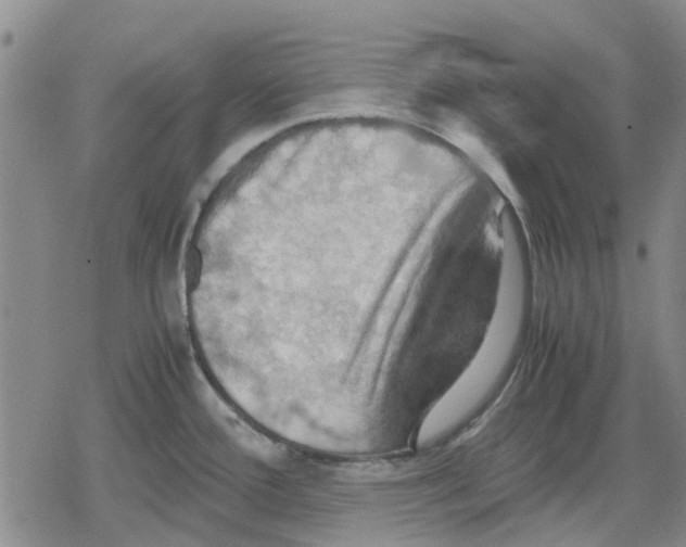 X0000079281388200612151626