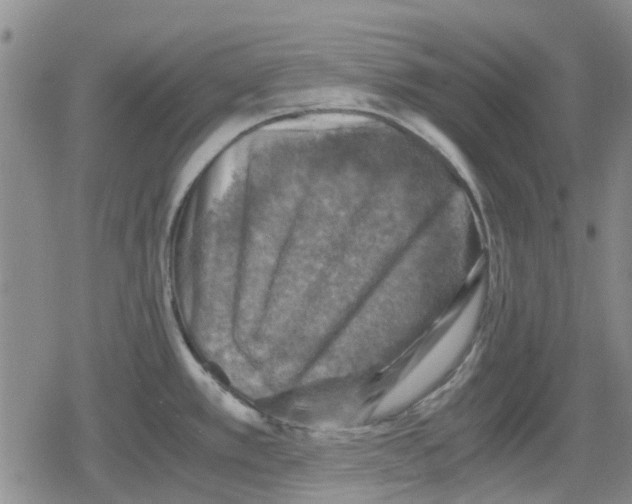 X0000079281389200612151626