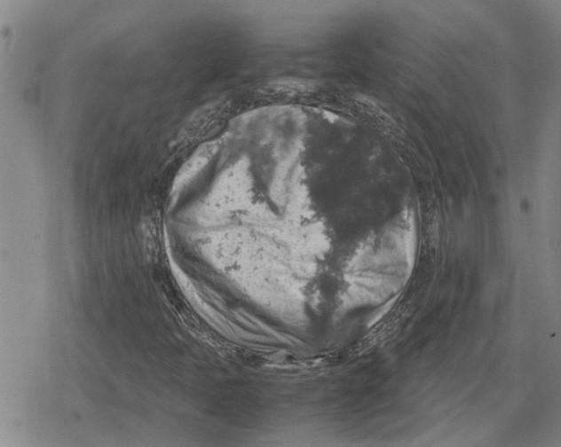 X0000079281397200612151625