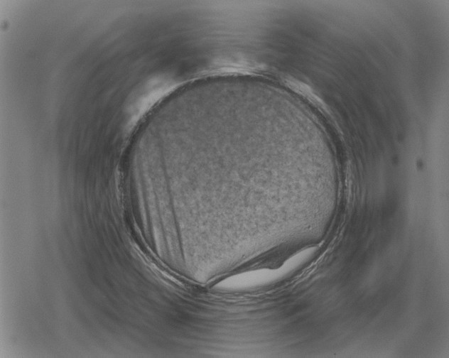 X0000079281404200612151625
