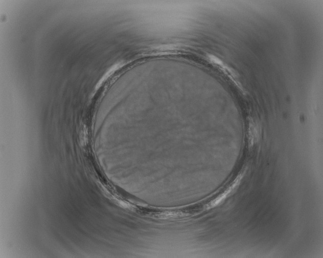 X0000079281449200612151625