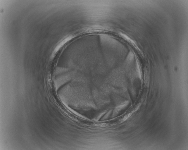 X0000079281453200612151625