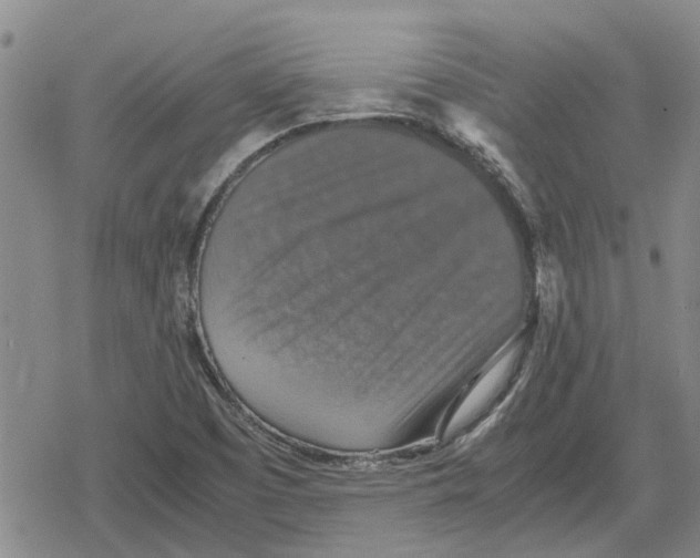 X0000079281457200612151625