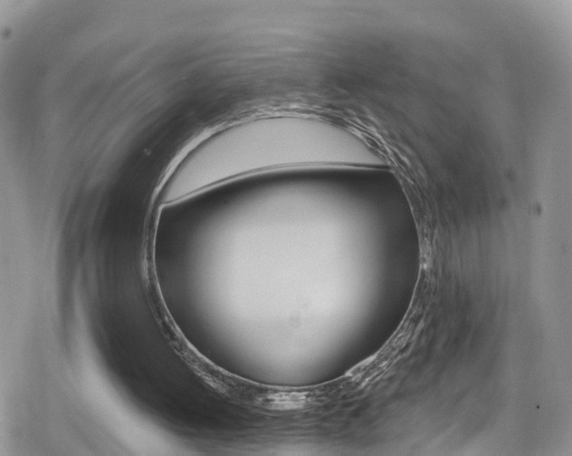 X0000079290052200611170902