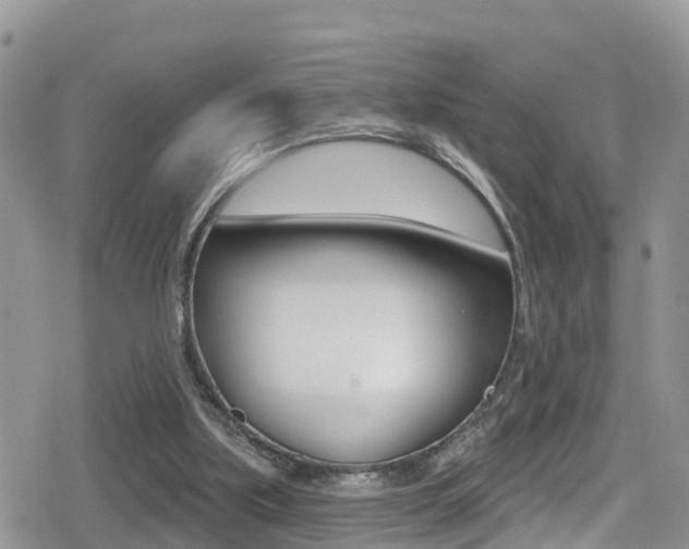 X0000079290059200611170902