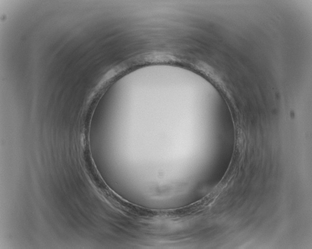 X0000079290063200611170902