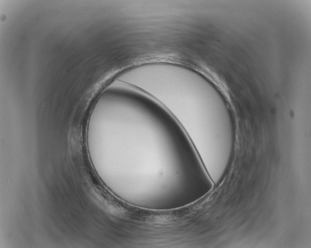 X0000079290107200611170902