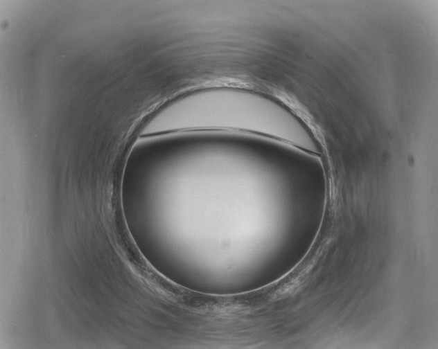 X0000079290201200611170900