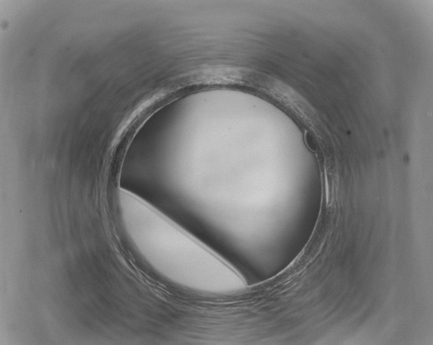 X0000079290531200611170854