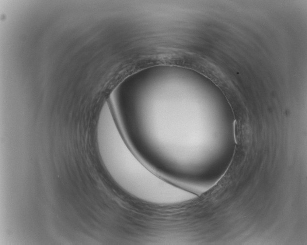 X0000079290750200611170851