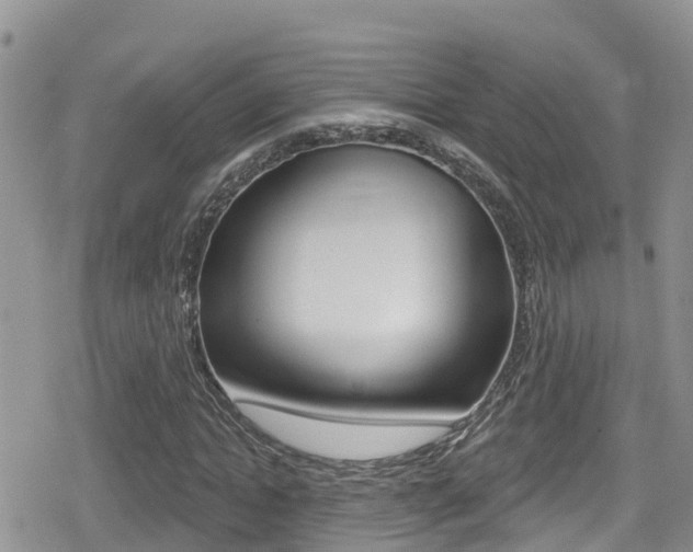 X0000079290822200611170849