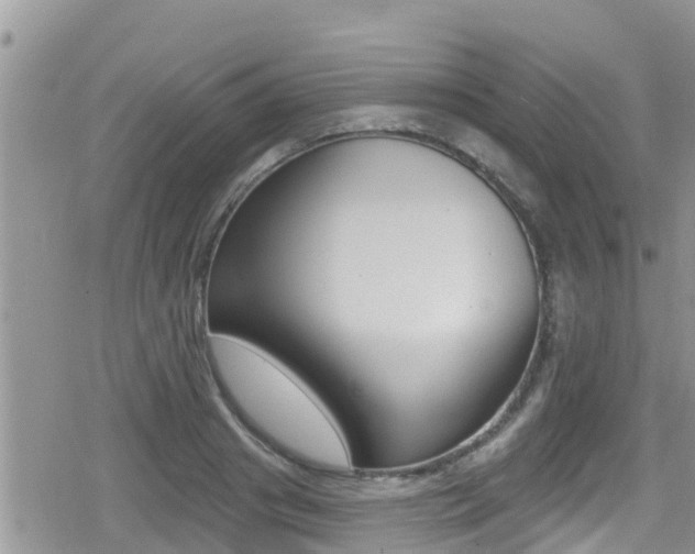 X0000079290841200611170850