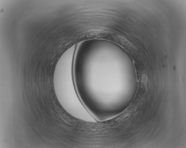 X0000079290868200611170849