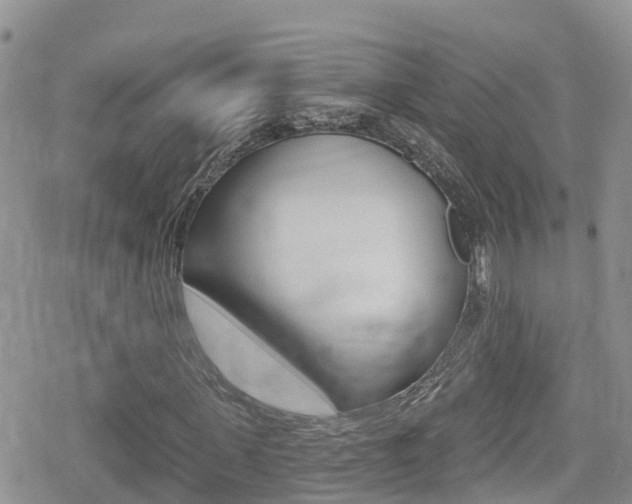 X0000079290915200611170848