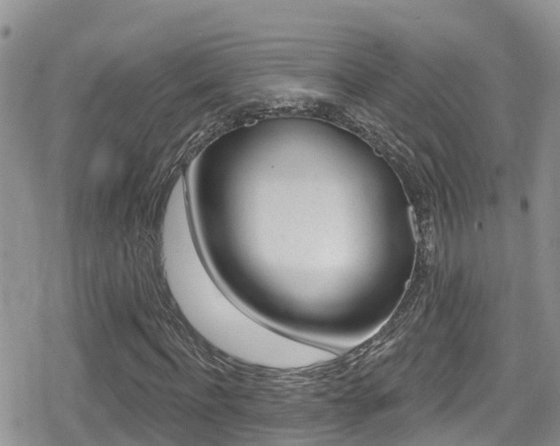 X0000079290916200611170848