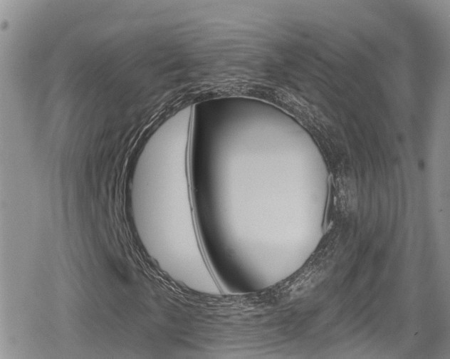 X0000079291057200611170846