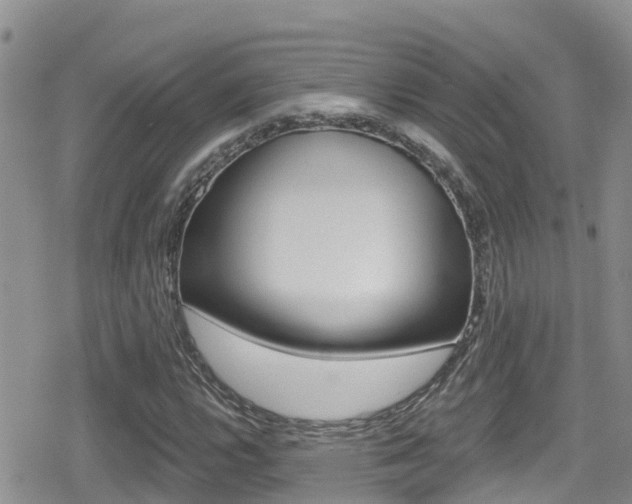 X0000079291112200611170845