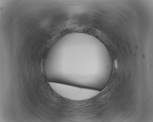 X0000079291203200611170843