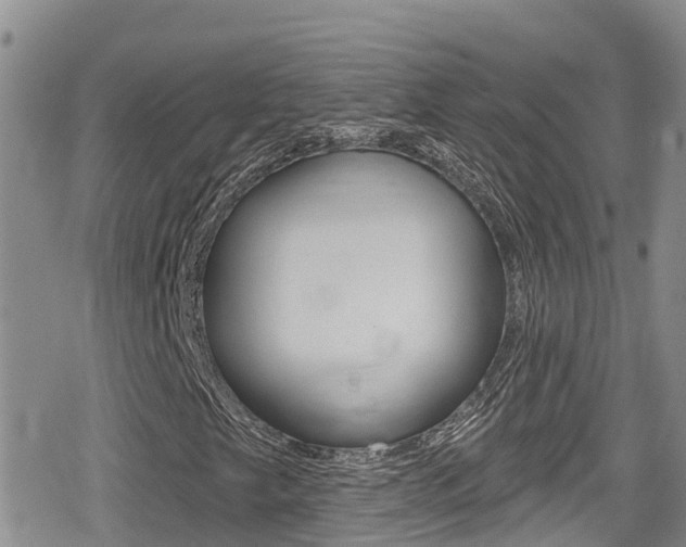 X0000079291249200611170843