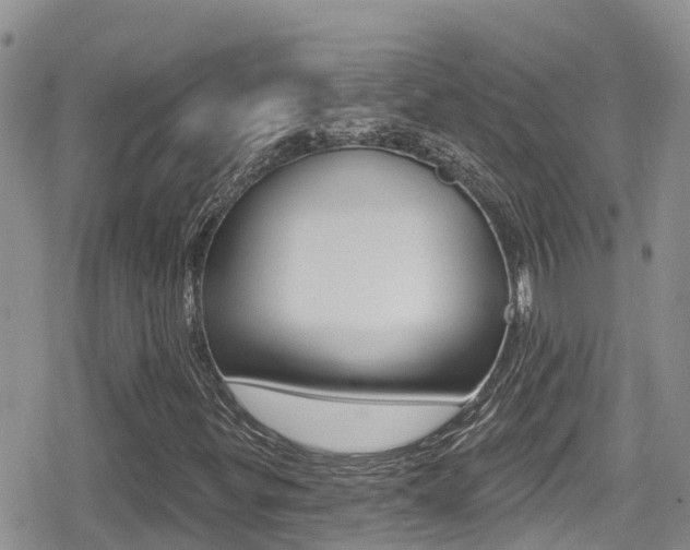 X0000079291299200611170842