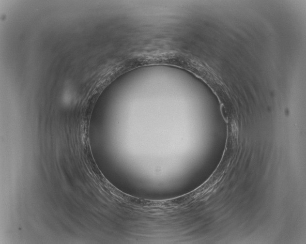 X0000079291300200611170842