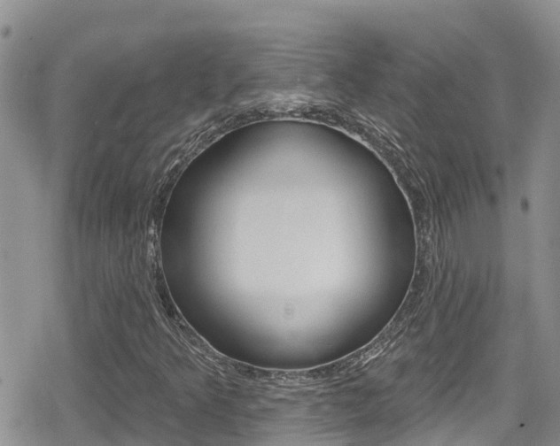 X0000079291349200611170842