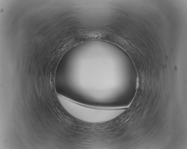 X0000079291394200611170840