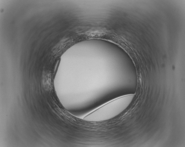 X0000079291396200611170840