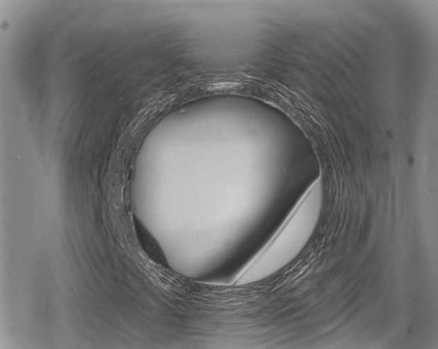 X0000079291441200611170840