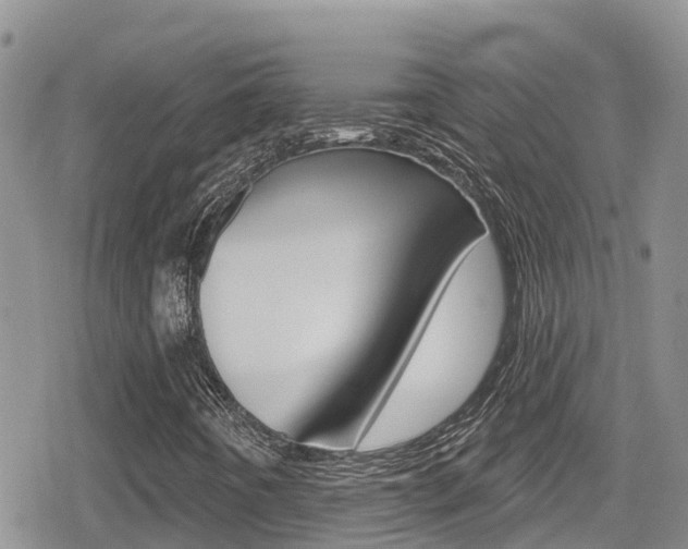 X0000079291442200611170840