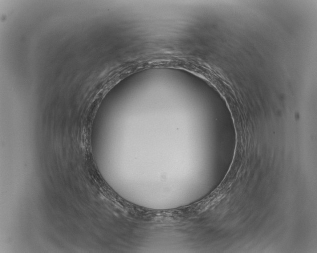 X0000079291445200611170840
