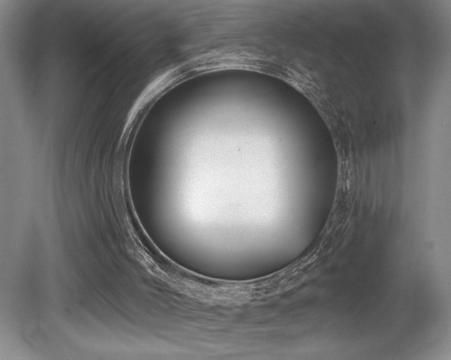 X0000079290004200611171103