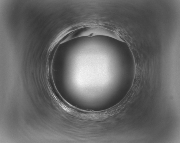X0000079290005200611171103