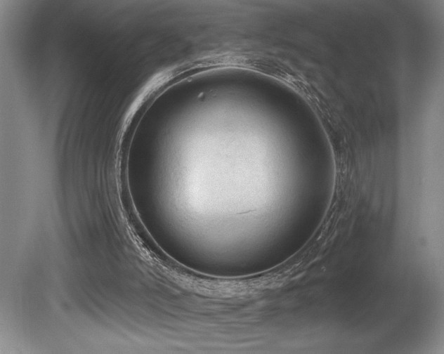 X0000079290006200611171103