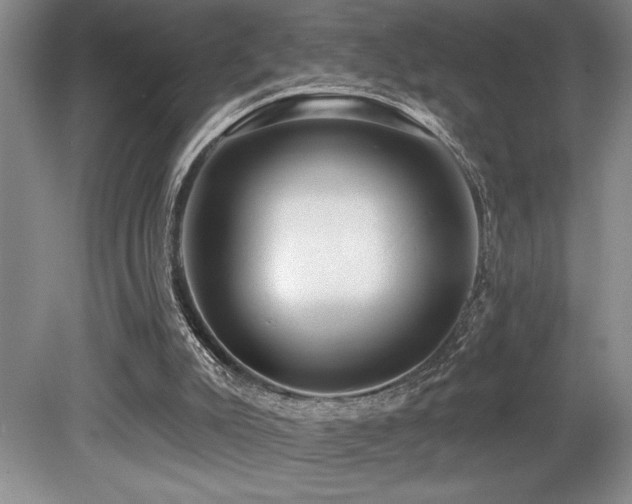 X0000079290007200611171103