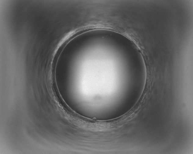 X0000079290008200611171103