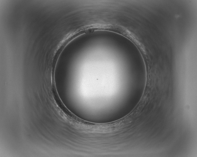 X0000079290011200611171103