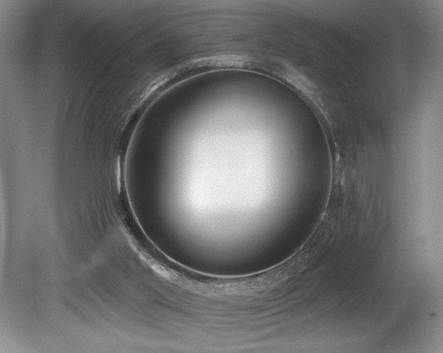 X0000079290013200611171103