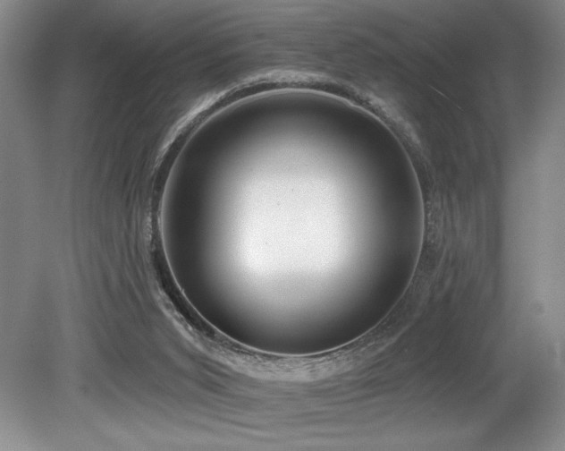 X0000079290015200611171103