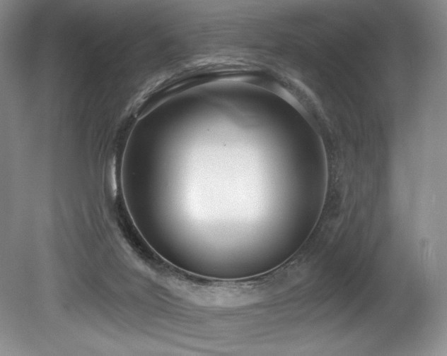X0000079290020200611171103