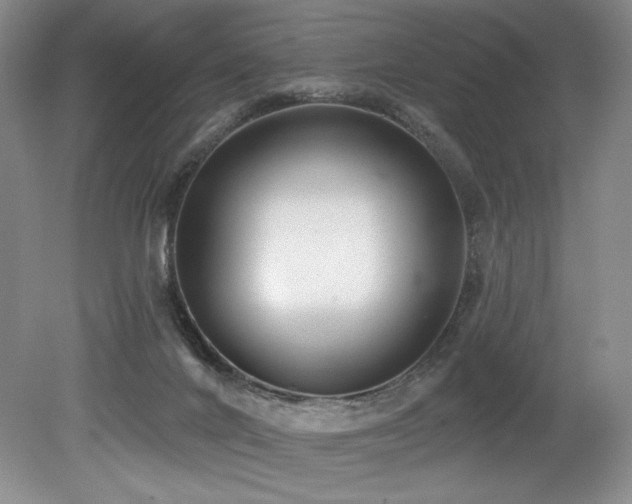 X0000079290024200611171103