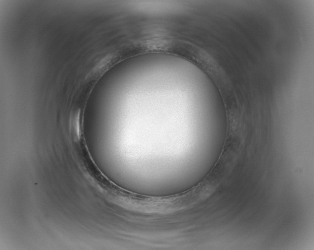 X0000079290028200611171103