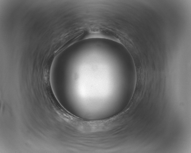 X0000079290033200611171103