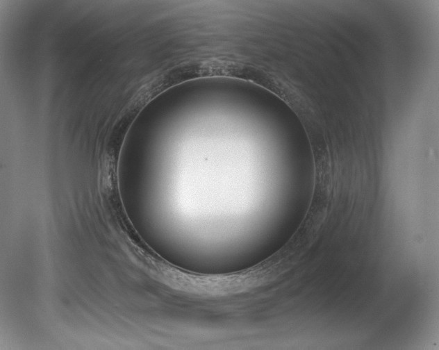 X0000079290038200611171103