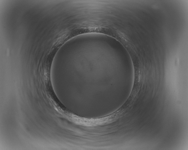 X0000079290039200611171103