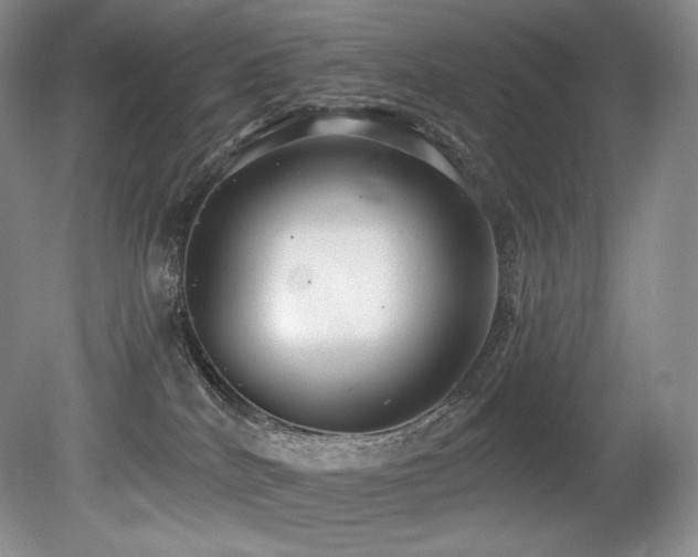 X0000079290040200611171103